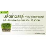 รู้หรือไม่? เมล็ดข้าวสาลี เก็บได้นานแค่ไหน?