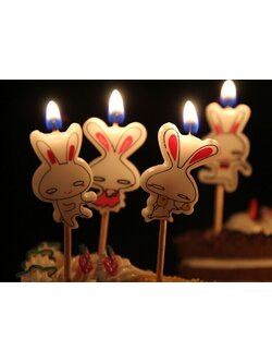 เทียนวันเกิด รูปกระต่าย 5 ชิ้น/แพ็ค