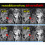 โคมไฟตั้งพื้นโซล่าเซลล์ 70CM รุ่น XF-JS01