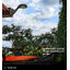 โคมไฟกิ่ง รุ่น ฝักบัว 200 lm + Motion Sensor (แสง : เหลืองวอมไวท์)