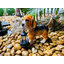 ไฟตุ๊กตาโซล่าเซลล์ ประดับสวน Beagle 1 LED (แสง : เหลืองวอมไวท์)