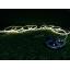 ไฟกระพริบโซล่าเซลล์ รุ่น 90 CHIP SMD LED (8 ฟังก์ชั่น) (เเสง : เหลืองวอมไวท์)