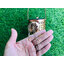 ไฟปักสนามโซล่าเซลล์ ทรงบัวรดน้ำ (chip 36 led ) (แสงเหลืองวอมไวท์)