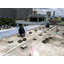 ระบบโซล่าเซลล์ติดหลังคา (Solar Rooftop) ขนาด 10 KW (ON-GRID) Three Phase พร้อมติดตั้ง