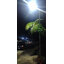 โคมไฟถนนโซล่าเซลล์ 600W รุ่น MD-SLT30-600W (แสง : ขาว)