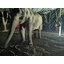 ไฟสปอตไลท์โซล่าเซลล์ 200 Watt กล่องสีน้ำตาล (เปิดได้ 3 แสง)