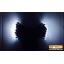 Waterproof solar panel powered 100 LED string light for outdoor decoration (White)