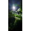 โคมไฟถนนโซล่าเซลล์ รุ่น MD-SLT40 (60W/120W/180W/240W)(แสง : ขาว) แถมฟรี!! ไฟปักสนามโซล่าเซลล์ รุ่น XML-G-SSL-001