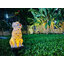 ไฟปักสนามโซล่าเซลล์ น้องหมา 1 LED (แสง : เหลืองวอมไวท์) 1 แถม 1