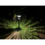 ไฟปักสนามโซล่าเซลล์ 2 SMD LED (เเสง : เหลืองวอมไวท์)