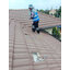 ระบบโซล่าเซลล์ติดหลังคา Enphase Solar Rooftop ขนาด 5.5 KW (ON-GRID) 3 Phase พร้อมติดตั้ง