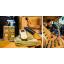 CG Leather Conditioner - เคลือบบำรุงเบาะหนัง