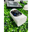 กล้องวงจรปิดโซล่าเซลล์ MODI XML ระบบ Wifi (1080P) Model 1