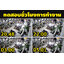 ไฟถนนโซล่าเซลล์ รุ่น MD-SLT27-50W (แสง : ขาว)(ขาเหล็ก)(ระบบสว่างค้าง) ของแท้ แบรนด์ MODI x XMLSOLAR