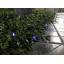 ไฟกระพริบโซล่าเซลล์ 100 LED (เเสง : ฟ้า)