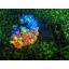 Waterproof solar panel powered string light in flower shapes for outdoor decoration (Mixed 4 colors)