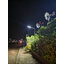 โคมไฟถนนโซล่าเซลล์ XML-Solar 300W Series 2020 (แสง : ขาว)