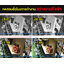 พัดลมโซล่าเซลล์ พกพาอเนกประสงค์ รุ่น PORTABLE01 (สีส้ม)