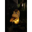 ไฟตุ๊กตาโซล่าเซลล์ ประดับสวน นกฮูก 1 LED (แสง : เหลืองวอมไวท์) 1 แถม 1
