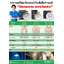 โคมไฟโซล่าเซลล์ ติดเพดาน ทรงวินเทจ 606 SMD LED (แสงขาว)