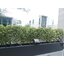 ไฟสปอตไลท์โซล่าเซลล์ 200 Watt กล่องสีน้ำตาล (เปิดได้ 3 แสง)