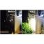 เสาไฟสนาม อะลูมิเนียม+เหล็กชุบดำ สูง 2.8 เมตร