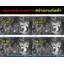 ไฟโซล่าเซลล์ส่องใต้น้ำ 6 LED รุ่น 2 หัว