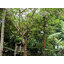 ไฟสปอตไลท์โซล่าเซลล์ 200 Watt กล่องสีน้ำตาล (เปิดได้ 3 แสง)