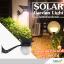 โคมไฟกิ่งโซล่าเซลล์ รุ่น solar nest (550 lm.) (แสง: เหลืองวอมไวท์)