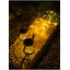 ไฟปักสนามโซล่าเซลล์ ทรงบัวรดน้ำ (chip 36 led ) (แสงเหลืองวอมไวท์)