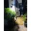โคมไฟกิ่งโซล่าเซลล์ รุ่น solar nest (550 lm.) (แสง: ขาว)