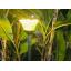 ไฟปักสนามโซล่าเซลล์ 8 Super SMD LED (แบบเหลี่ยม) สูง 140 ซม. (เเสง : เหลืองวอมไวท์)
