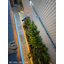 ไฟเส้นโซล่าเซลล์ รุ่น MD-SSL10M/20M/30M