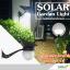 โคมไฟกิ่งโซล่าเซลล์ รุ่น solar nest (550 lm.) (แสง: ขาว)