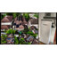 ระบบโซล่าเซลล์ติดหลังคา Energy LiB Solar Rooftop P1 All-In-One ขนาด 8 kW (ON/OFF-GRID / Hybrid) 1 Phase Battery 10kW พร้อมติดตั้ง
