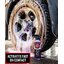 Adam's Wheel & Tire Cleaner น้ำยาล้างล้อและยาง
