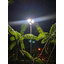 โคมไฟถนนโซล่าเซลล์ UFO ทรงกลม รุ่น MODI x XML 150W + Motion Sensor (แสง : ขาว)