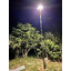 โคมไฟ UFO ทรงสี่เหลี่ยม รุ่น Modi x XML + ระบบ Motion รุ่น 300w (เปิดได้ 3 แสง)