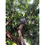 ไฟสปอตไลท์โซล่าเซลล์ 80 W. รุ่น Modi x XML (เเสง : ขาว) (1 เเถม 1)