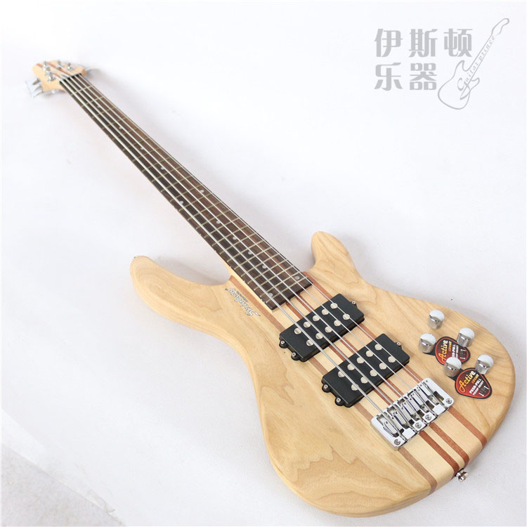 Steiberg Active Bass 5 Strengs