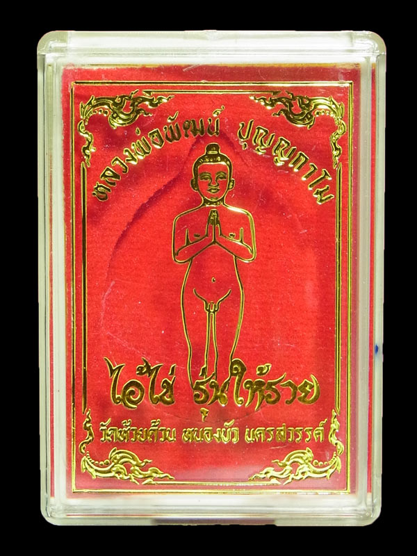 เหรียญไอ้ไข่ให้รวย หลวงพ่อพัฒน์ ปี2563