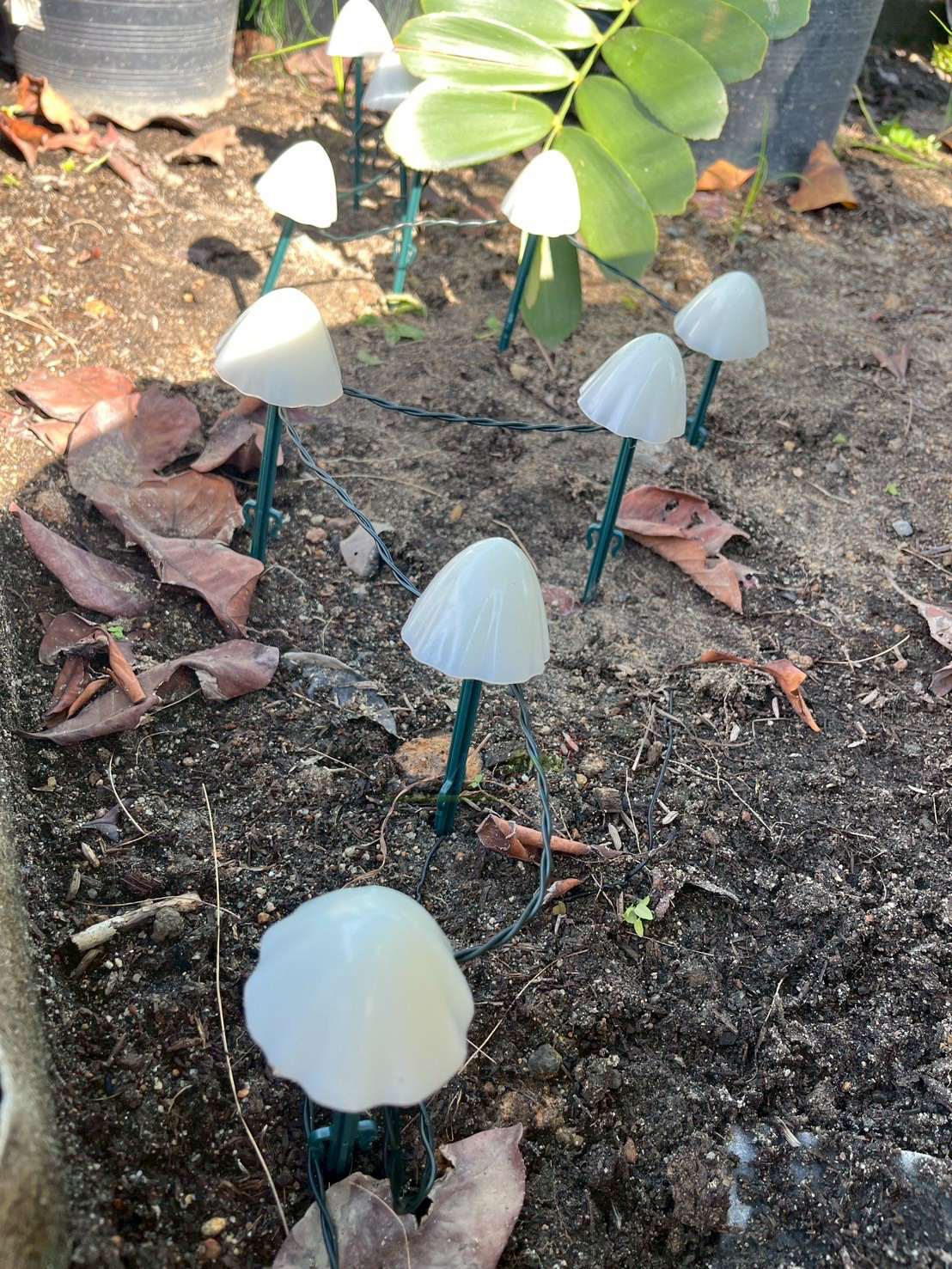 ไฟปักสนามโซล่าเซลล์ รูปเห็ด