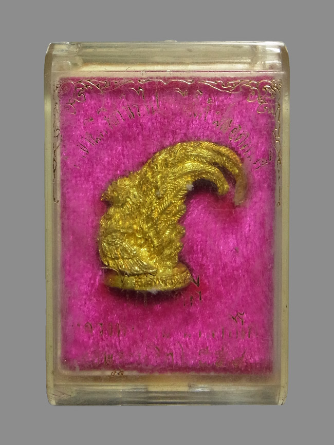 ไก่โชคดี หลวงพ่อรวย วัดตะโก ปี2559