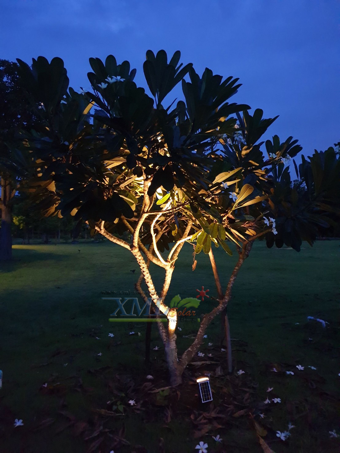 สปอร์ตไลท์ปักสนามโซล่าเซลล์ รุ่น SSL-001