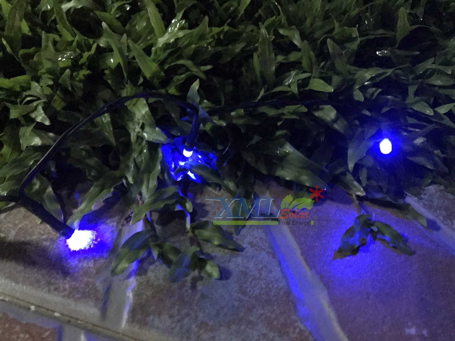 Waterproof solar panel powered 200 LED string light with 2 functions for outdoor decoration (Blue)