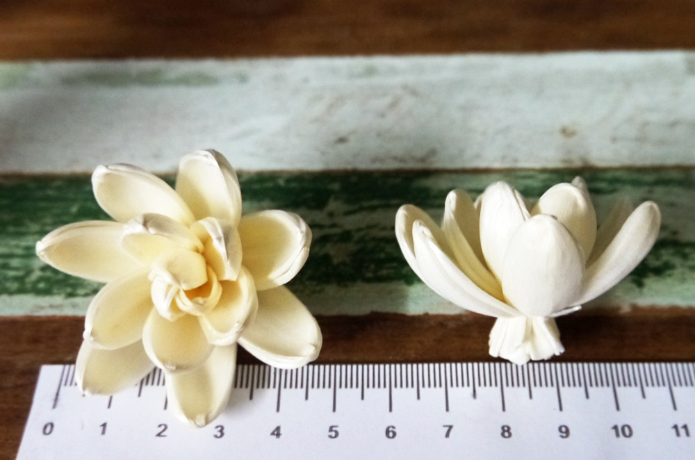 ดอกโลตัสสีขาว 5cm Dia.