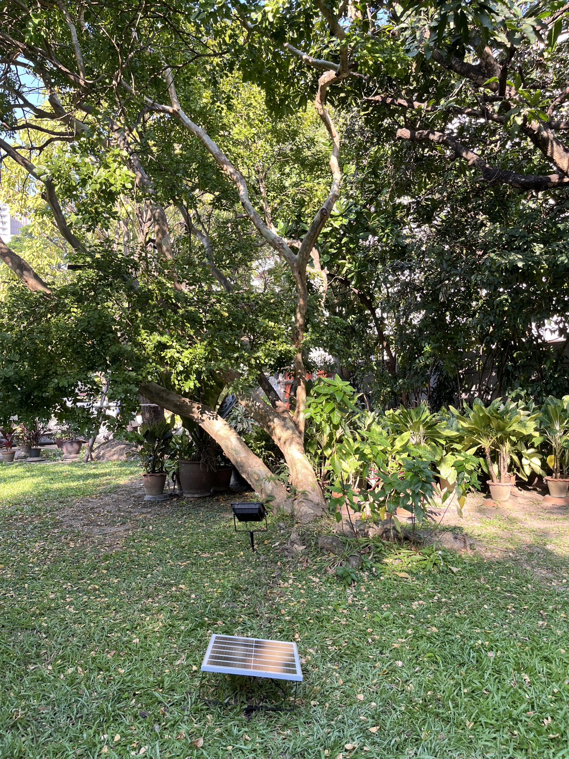 ไฟสปอตไลท์โซล่าเซลล์ 100 Watt กล่องสีน้ำตาล (เปิดได้ 3 แสง)