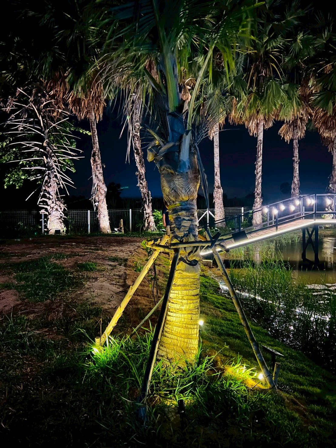 สปอร์ตไลท์ปักสนามโซล่าเซลล์ DC-11S รุ่น 4 หัว สาย 3 เมตร (หัวเล็ก)(แสง : เหลืองวอมไวท์)