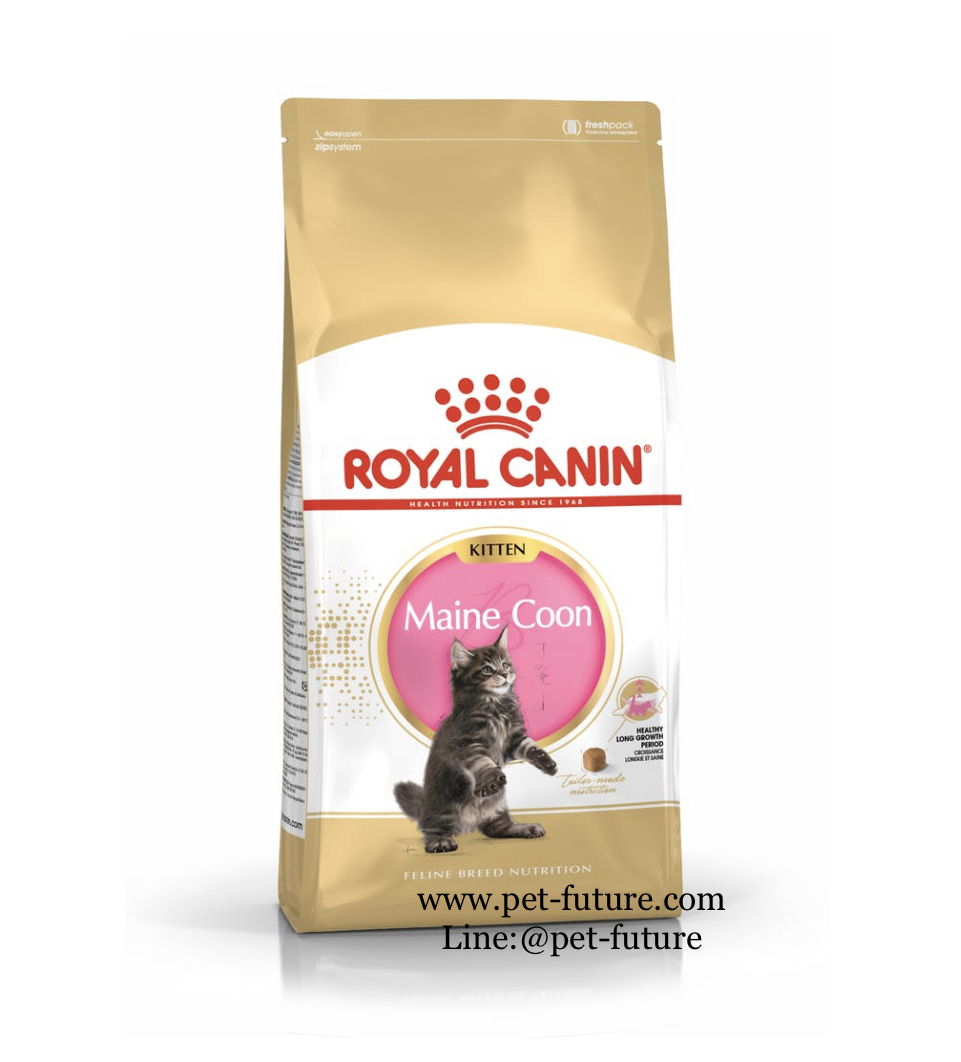 Kitten Mainecoon 10 kg. สำหรับลูกแมวเมนคูน 1-15 เดือน