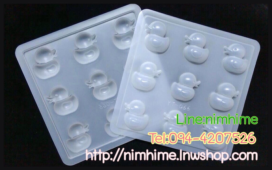 พิมพ์วุ้น เป็ด